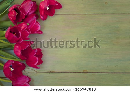 Pretty Red Tulips picked from the garden on Faux Painted Green Wood, rustic background with Room or Space for Copy, Text, or Words. Horizontal