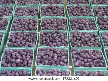 Fresh Picked Blueberries in Baskets lined in Rows in a Farmers Market.  Grown in Corbett, Oregon, United States