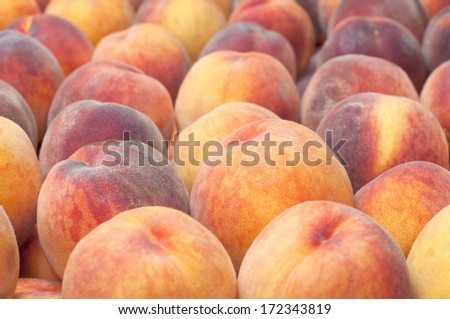 Early Red Haven Peaches Displayed and For Sale in a Farmers Market.  Grown in Hood River, Oregon, America