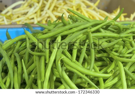 Fresh Picked Green Beans called Jade in a Bin Displayed in a Farmers Market.  Grown in Portland, Oregon, United States.  Yellow Romano Beans in background.