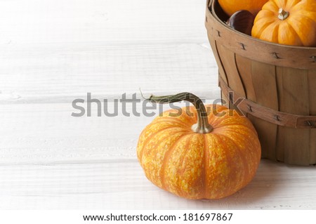 Mini Pumpkins and a Basket on White Painted Rough Boards as Background with room or space for copy, text, words.  Horizontal