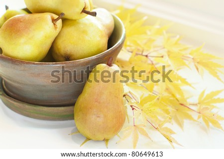Pretty Fall Bartlett Pears in pottery bowl in Window Light with leafy background room or space for copy, text, or your words.  Horizontal close up, above looking down view