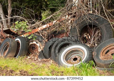 A Bunch of Old Tires Dumped Amongst Some Trees and Vines