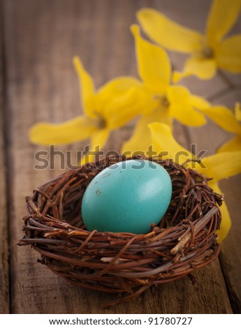 Closeup of a Real Robins Egg in a Natural Somewhat Dirty State, Perfect for a Rustic Still Life Image