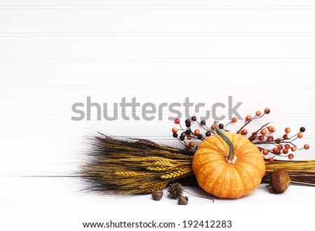 Beautiful Fall Mini Pumpkin with Wheat, Acorns, and Berries on White Board Background with empty room or space for copy, text.  Horizontal