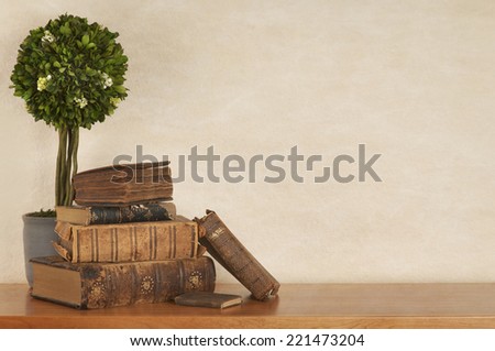 Old Leather Books in Modern Still Life Setting with New Fake Plant on a Bookcase, Off White Wall as Background with room or space for copy, text, your words.  Horizontal