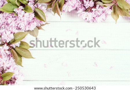 Pretty Pastel Pink Cherry Blossoms along top and side of Painted Rustic White Board Background with room or space for copy, text, your words.  Looking down on Horizontal, faded bypass with tint