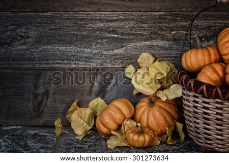 Peaceful Thanksgiving ,Fall Still Life with Mini Pumpkins, aspen leaves, a basket on stone and against dark, rustic wood board background with room or space for copy, text, your words.  Horizontal