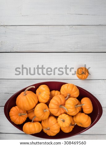 Many Thanksgiving, Colorful Fall Mini Pumpkins in a Wood Bowl on Rustic White or gray Painted Board Background with room or space for copy, text, your words.  Above view vertical with bowl on bottom