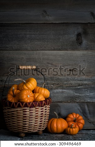 Colorful Dark and Moody Basket Full of Thanksgiving or Halloween, Fall Mini Pumpkins on Stone Floor against Rustic Wood Board Wall Background with room or space for copy, text, words. Vertical