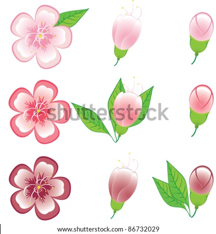 Cherry Dating Site Service Advisor Blossom Cherry Dating Site Service Advisor Blossom