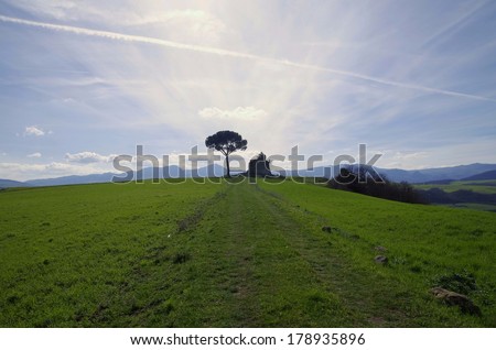 typical south italy country landscape