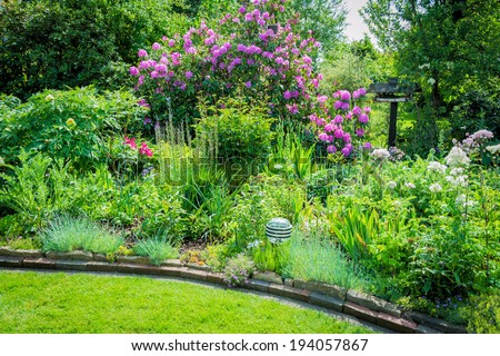 sunny garden with planting and rhododendron