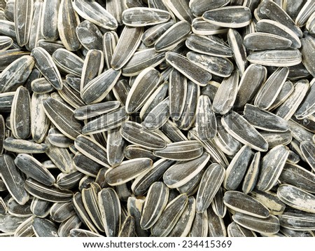 Roasted and salted sunflower seeds