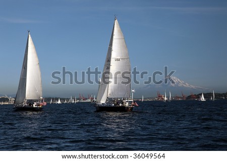 Sail boat race in Seattle with Mount Hood mountain and blue sky