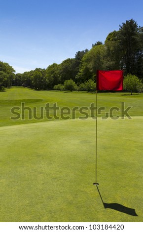 Very nice Green Golf Course with flag and hole in the summer.