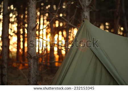 Camping tent in the forrest with sunset