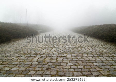 Paving stone road with fog ahead