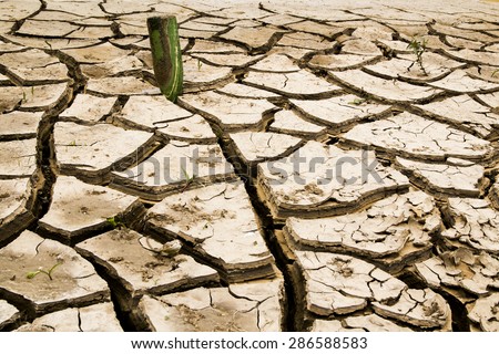Cracked dry ground with water bottle in it.Concept:Problems in enviroment, Thurst, dehydrated ground