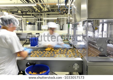 Production of pralines in a factory for the food industry - women working on the assembly line