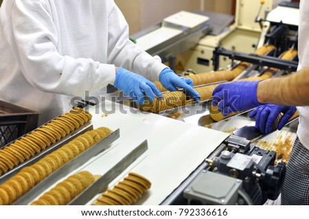 workers sort biscuits on a conveyor belt in a factory - production in the food industry