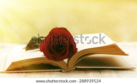 book with red rose on a summer day