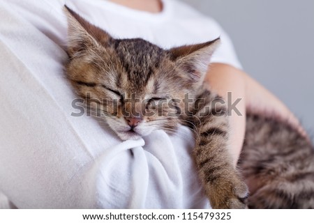 Holding a new pet - a little kitten sleeping on child arm