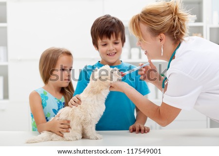 Kids With Their Pet At The Veterinary Doctor - Fluffy Dog Receiving Medication
