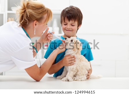 Boy at the veterinary doctor with his dog