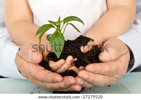 Child and adult hands holding new plant with soil