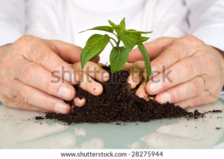 Senior and kids hands pampering a new plant in the pile of soil - generations and education concept, closeup