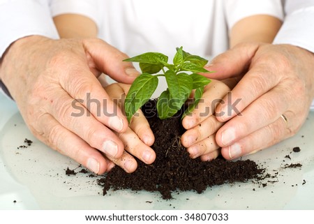 Old and young hands protecting a plant - environmental education concept