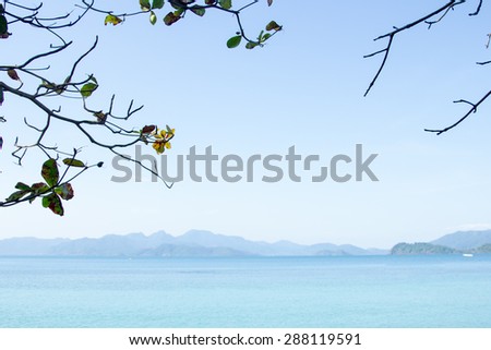 tree  foreground with blue mountain background beautiful seascape of Koh Chang island in Thailand