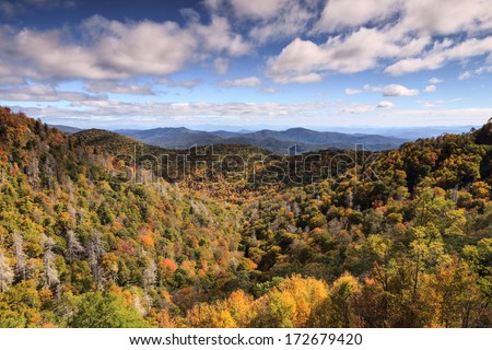 Seasonal landscape of the Blue Ridge Mountains in Western North Carolina in autumn.