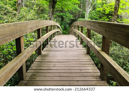 Wooden bridge on the Tanawha Trail that runs parallel to the Blue Ridge Parkway on Grandfather Mountain in western North Carolina.
