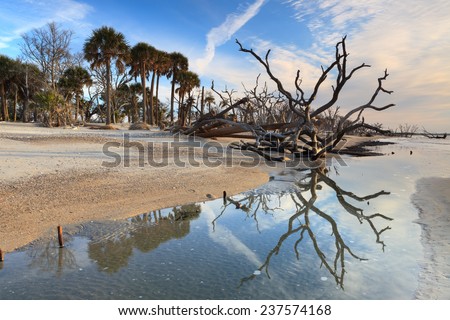 Coastal South Carolina beach landscape at Botany Bay near Charleston, South Carolina.