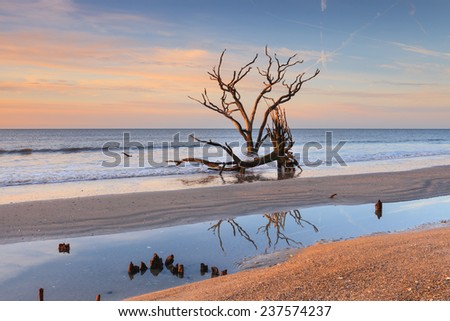 Coastal South Carolina beach landscape at Botany Bay near Charleston, South Carolina.