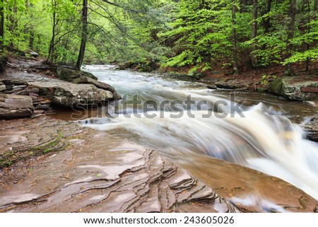 Pennsylvania mountain stream with heavy spring water flow in Ricketts Glen Park.