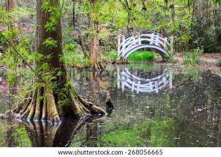 Southern swamp with arched white bridge reflecting in the water near Charleston, South Carolina.