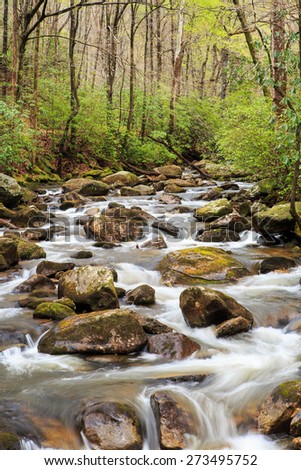 Middle Saluda River trout fishing stream as it flows through Jones Gap State Park in upstate South Carolina in spring.