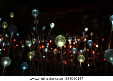Atlanta Botanical Gardens - Lights in the Garden
