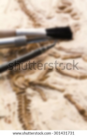Blurred skeleton and archaeological tools.Training for dig fossil.Used technical depth of field and film filter for old tone.