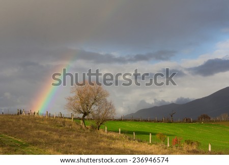 Beautiful rainbow in the rural landscape during the summer storm