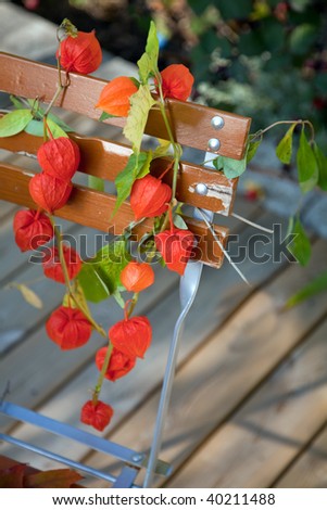 Japanese/Chinese lantern draped over a garden chair