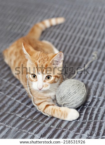 Image of a ginger cat playing with a ball of yarn