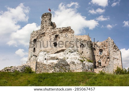 The ruins of the castle\
The ruins of a medieval castle situated in the picturesque scenery of the jury of Krakow Czestochowa.\
Country. Poland\
Village: Mirow\
Date May 31, 2015