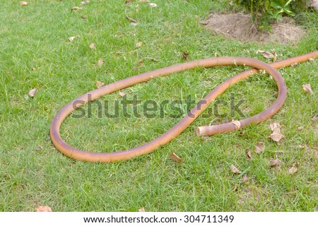 Brown rubber tube for watering plants