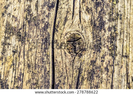 Old cracked wood with knots and cracks. Image in the yellow-blue toning