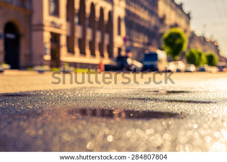 City on a sunny day, a quiet street after rain with trees and cars. View from the level of asphalt, image in the yellow-blue toning
