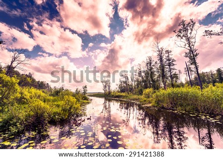 Cumulus clouds over the forest lake where ducks. Image in the orange-purple toning